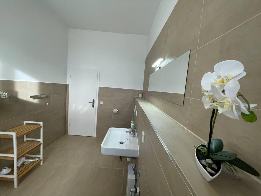 Lucky Stays Ls10 - Vollausstattung - Zentrum - Aufzug - Grosse Kueche - 2 Zimmer - Smart-Tv Магдебург Екстер'єр фото